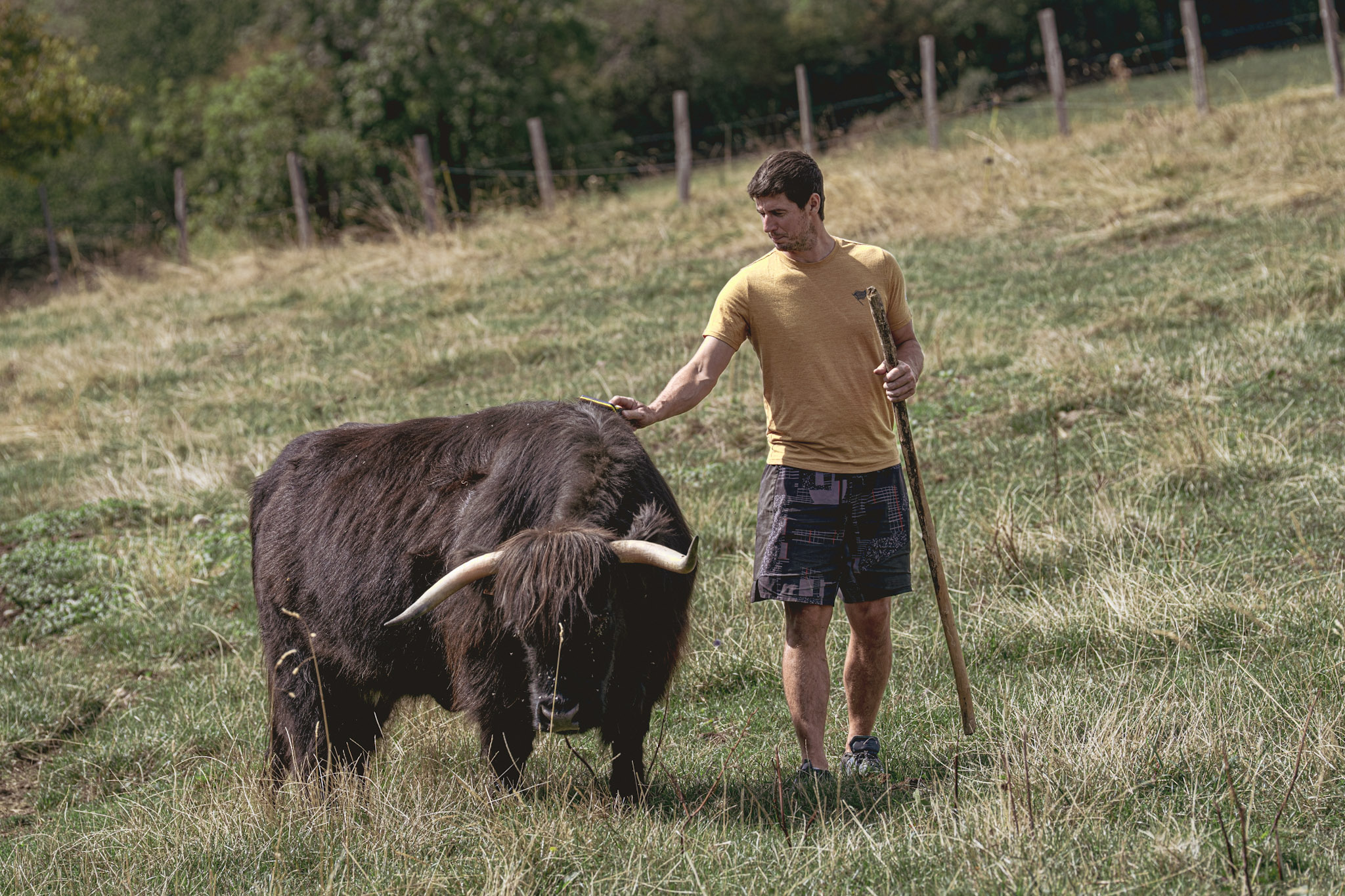 Un éleveur de vaches à Paladru